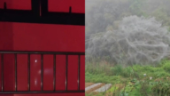 中國異象 湖北現血色天空 福建現巨幅蛛網（視頻）
