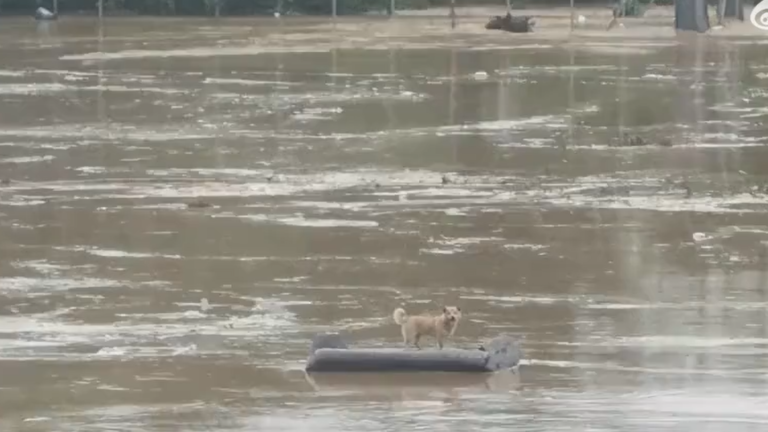 廣東暴雨成災 已致至少4人死10人失聯