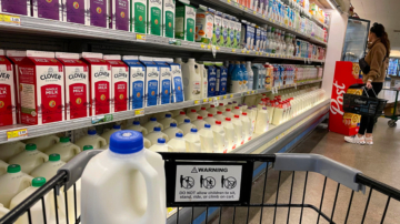 FDA：两成巴氏灭菌牛奶样品禽流感呈阳性