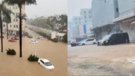 廣東暴雨水深齊腰 大量汽車泡水 鱷魚出逃（視頻）