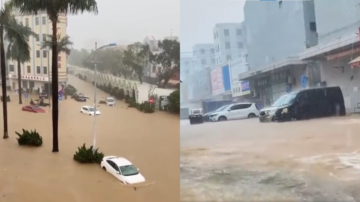 广东暴雨水深齐腰 大量汽车泡水 鳄鱼出逃（视频）
