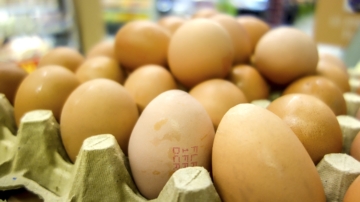 鸡蛋迷思 红皮鸡蛋为何比白皮鸡蛋贵？