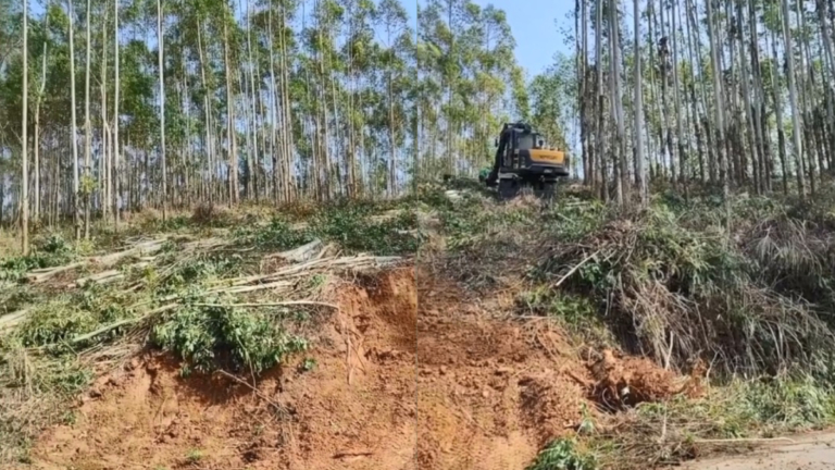 中共強占土地種糧 引發民怨