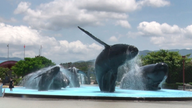 魟魚母子溫馨共游 海生館邀民眾賞生物母愛