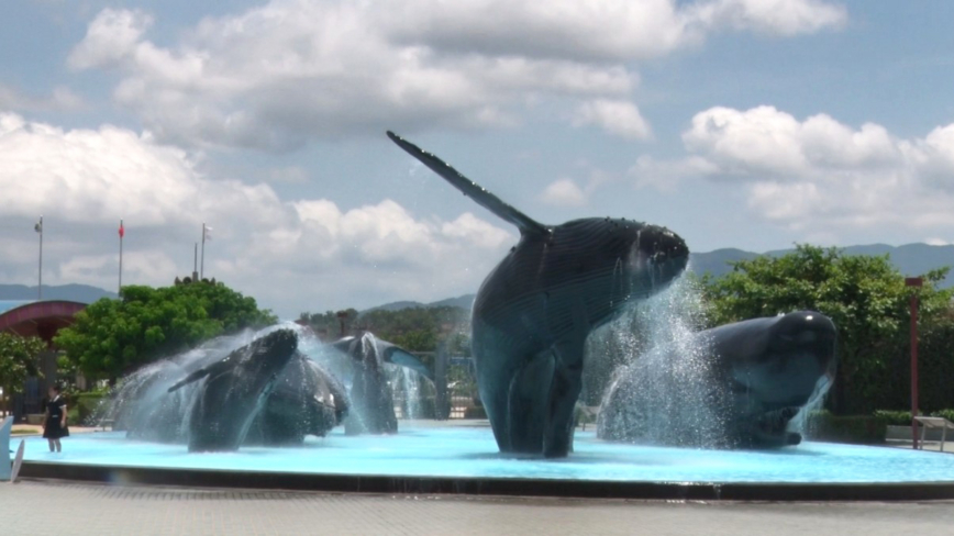 𫚉鱼母子温馨共游 海生馆邀民众赏生物母爱