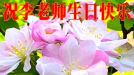 中國大陸民眾恭祝李洪志大師華誕