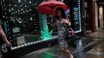 【紐約聚焦】：紐約市一週關75家非法大麻店