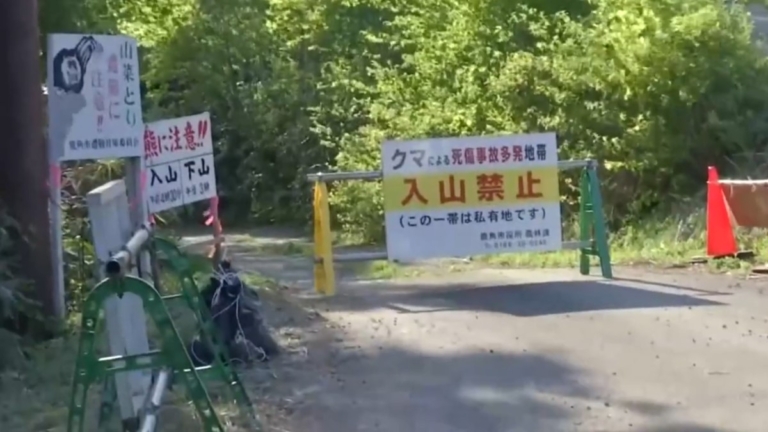 日本秋田縣熊出沒 兩名警察遇襲重傷