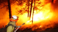 燃燒超1萬4千英畝 亞利桑那州野火控制23%