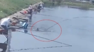 江蘇男子釣中20斤大魚 被拉入水中視頻熱傳（視頻）