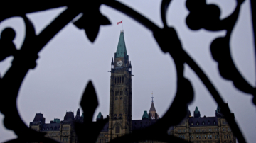 加拿大国会议员：促进打击外国干涉立法