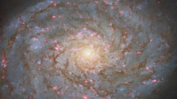 哈勃望远镜拍到一个宝石般璀璨的螺旋星系