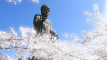 【你好日本】公元五世紀佛法傳入日本