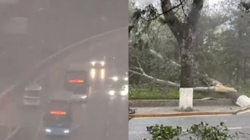 北京瞬间黑天 狂风暴雨 大树连根拔起（视频）