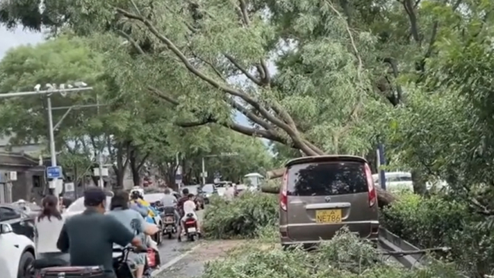 【短訊】北京突然天黑狂風暴雨 大樹連根拔起