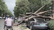 5月30日两岸扫描 北京白昼突变黑夜 狂风暴雨拔大树 人被吹跑
