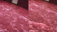 觸目驚心！四川一河流突然變成「血紅色」（視頻）