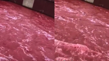 触目惊心！四川一河流突然变成“血红色”（视频）
