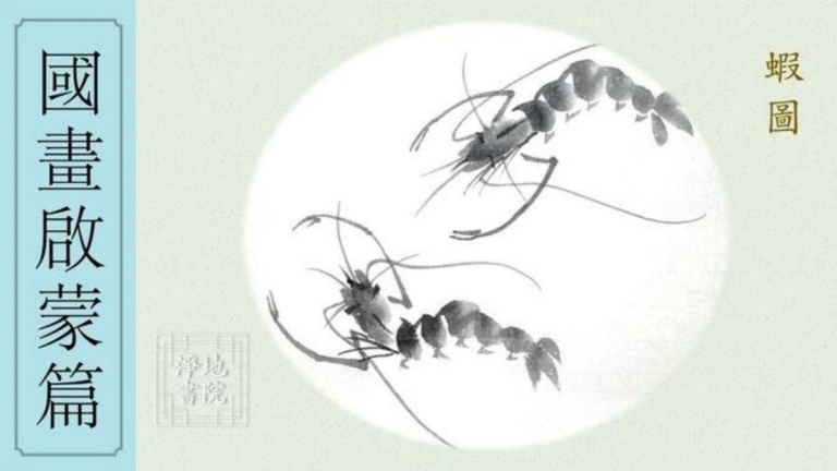 淨地書院傳統國畫課堂【十六】國畫啟蒙篇《蝦圖》