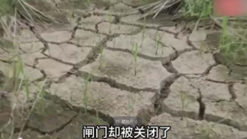 黑龙江一县搞水资源承包 农民浇地一亩收费600元