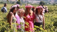 上萬遊客湧玫瑰谷 慶保加利亞玫瑰節121 周年