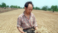 【短訊】河南乾旱影響夏播 農民連夜灌溉