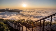 氣勢十足夕陽雲海 阿里山二延平步道即時影像被雷打壞