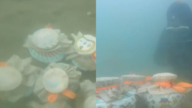 「別打開」 山東潛水員發現海底11個神祕密封罈