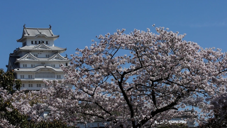 日本姬路城門票擬調漲 外國人參觀恐貴4倍