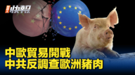【新唐人快報】中歐貿易戰加劇 中共對歐洲進口豬肉反調查