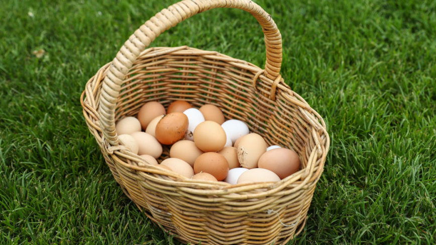 一天吃几个鸡蛋最健康？ 新研究揭晓答案