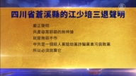 【禁聞】6月19日三退聲明精選
