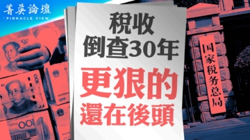 【菁英论坛】税收倒查30年 更狠的还在后头