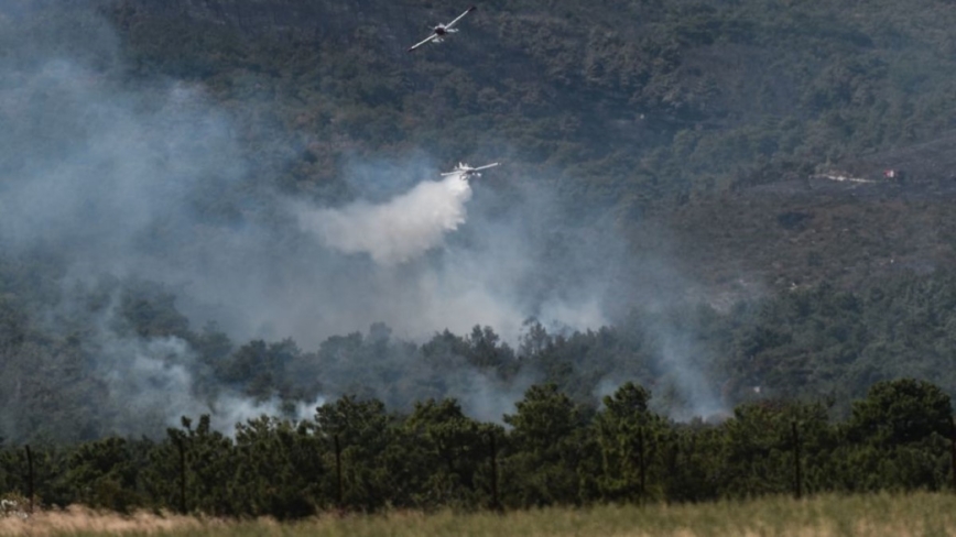 疑游艇施放烟火 引发希腊赫德拉岛森林野火 警逮13人