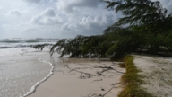 史上最早5級颶風 橫掃加勒比海釀6死