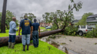 颶風貝里爾德州登陸 250萬戶停電 2人死亡