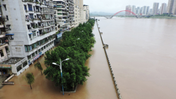 长江2号洪水形成 重庆等地损失惨重