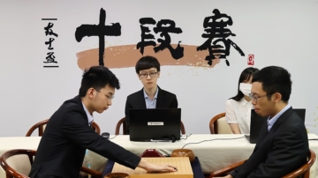 台湾围棋十段赛：许皓鋐完胜赖均辅 扳平比分