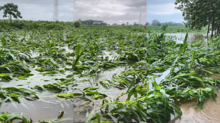 水庫持續洩洪 陝西河南等地大面積洪災