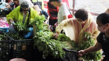 凯米或带来逾1800毫米雨量 台吁民众备3天粮食