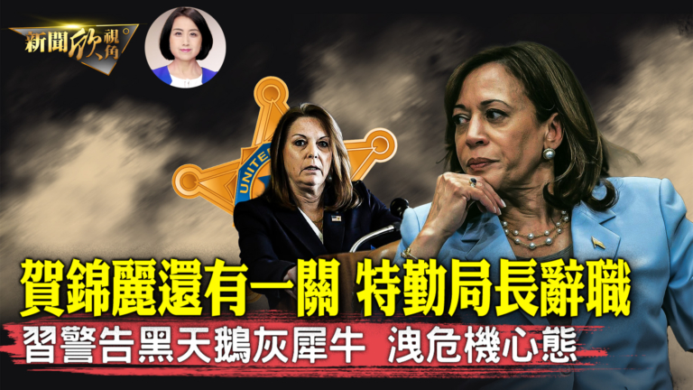 【新聞欣視角】賀錦麗獲民主黨提名 還有最後一關