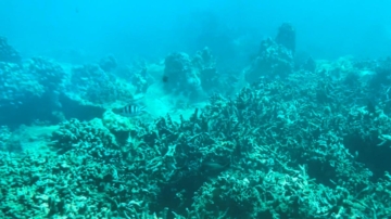 深海发现“地球电池”可电解海水产生氧气