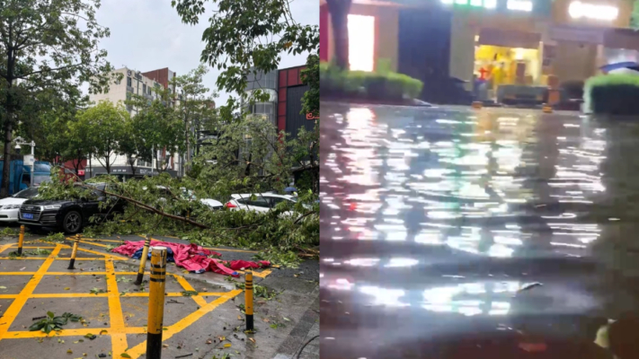 深圳狂风暴雨 路上淹水半米深 大树被刮倒（视频）