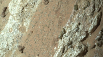 火星上發現豹紋岩石 或藏古老生命存在證據