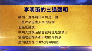 【禁聞】8月11日三退聲明精選