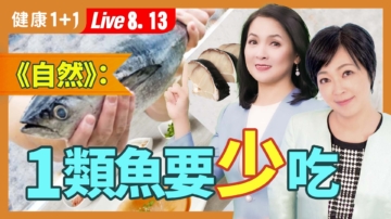 【健康1+1】海鮮富含9種營養素 吃魚罐頭可補鈣？