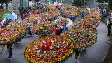 百花争艳 哥伦比亚花都举行盛大鲜花节游行