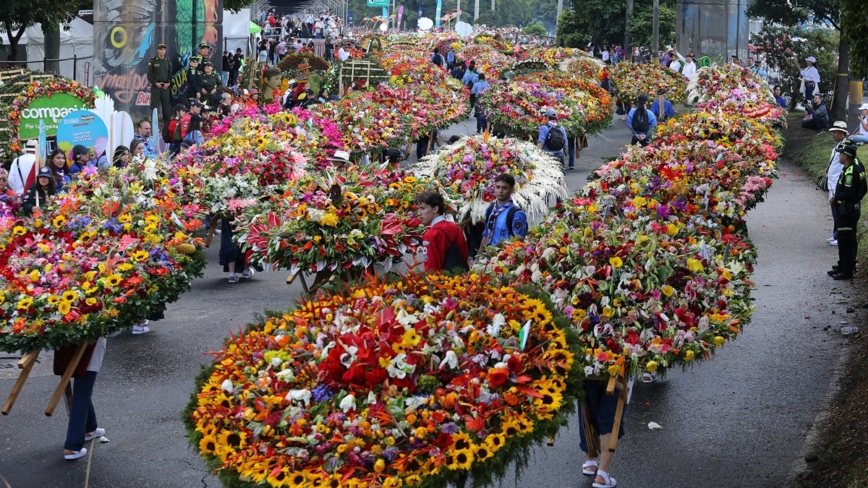 百花争艳 哥伦比亚花都举行盛大鲜花节游行