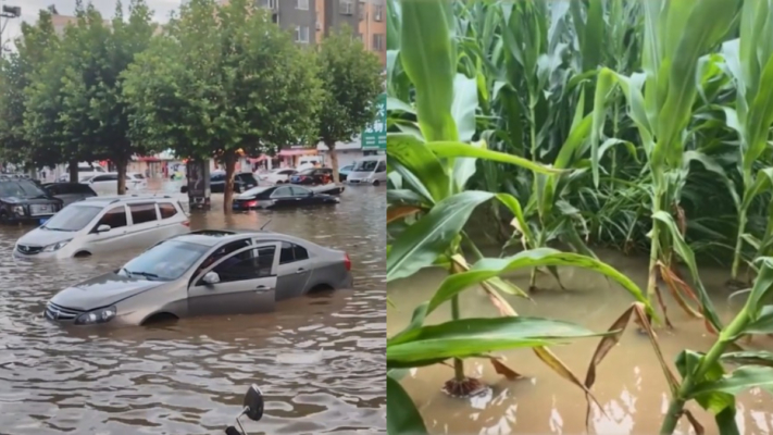 北方强降雨不断 大量汽车 房田泡水 损失惨重