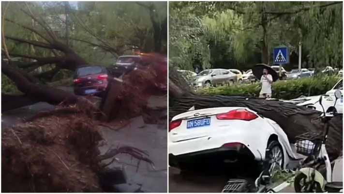 北京暴雨颳「妖風」 大樹成排倒地砸車（視頻）